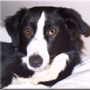 Keifer was adopted in March, 2004